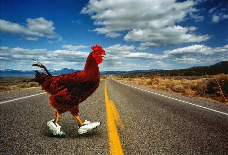 Chicken road italia a Italy